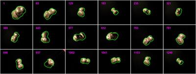 Model-based monocular 6-degree-of-freedom pose tracking for asteroid